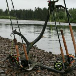 Customized Remote Alaskan Rivers Rafting Trips! Photos