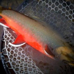 Float Trips Photos